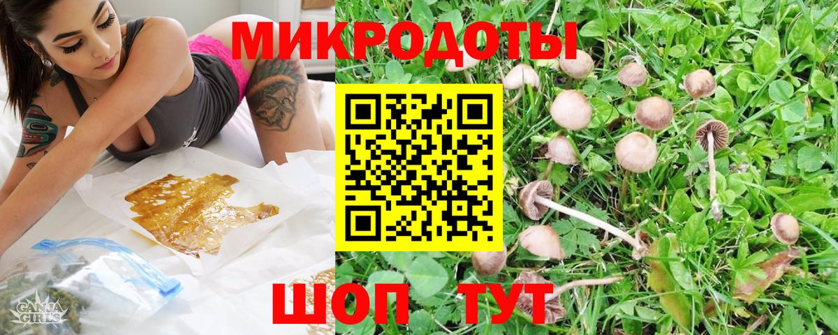 Фурманов  Псилоцибиновые грибы мухоморы  Вход с VPN 
